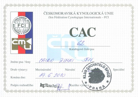 CAC Klubová výstava špiců Zbraslav 2010