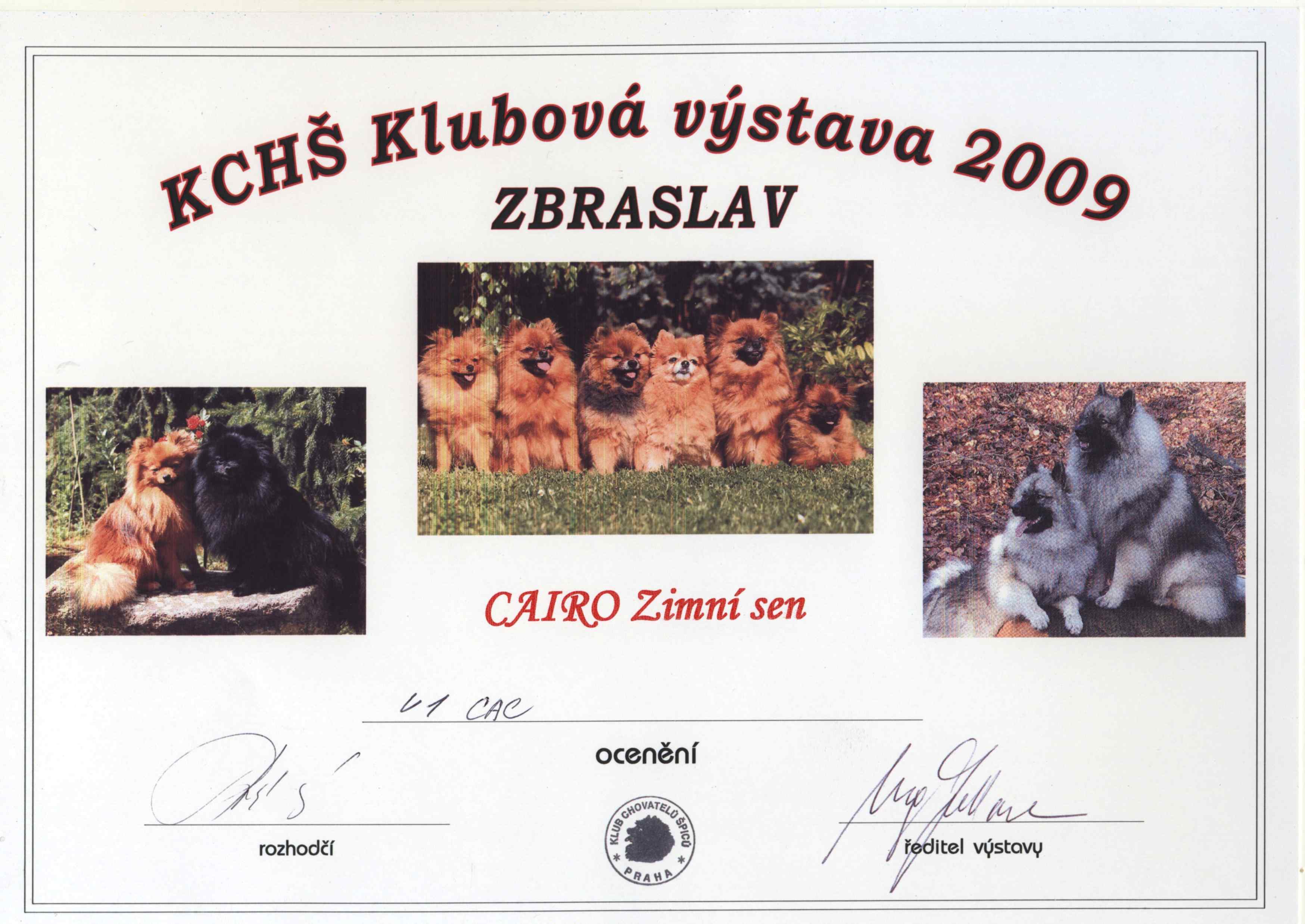 Diplom 2009
